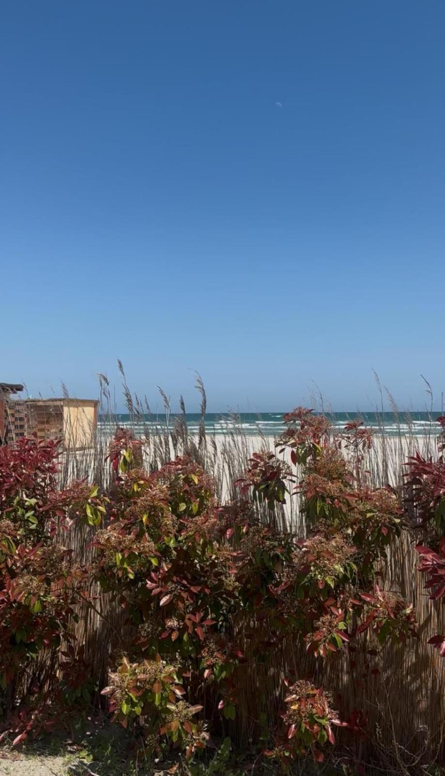 Năvodari Sea View Luxury Apartament מראה חיצוני תמונה
