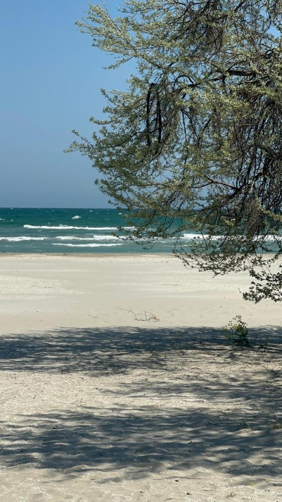 Năvodari Sea View Luxury Apartament מראה חיצוני תמונה